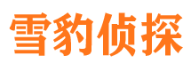 清流侦探公司